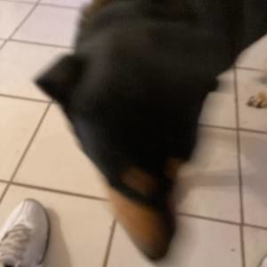 Meet your Posher, James